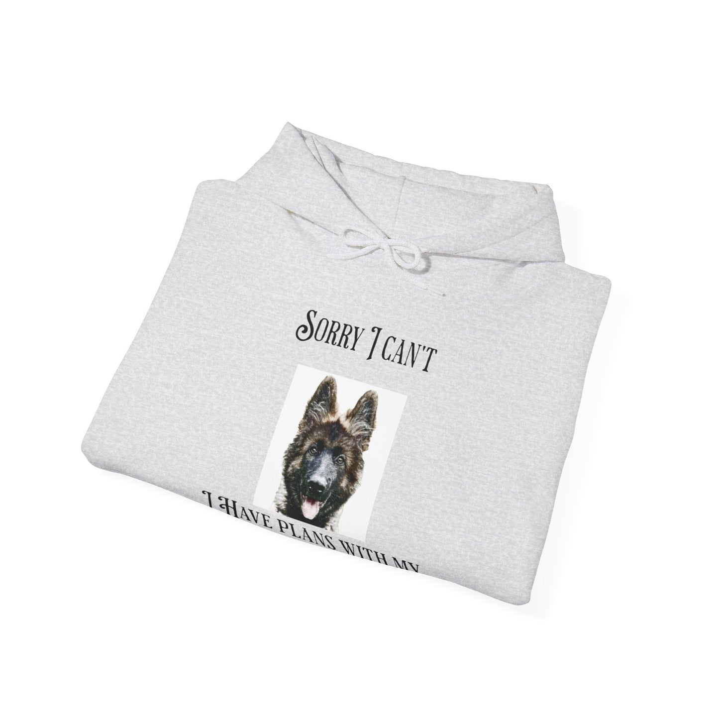 Sorry I Can't Hoodie UK