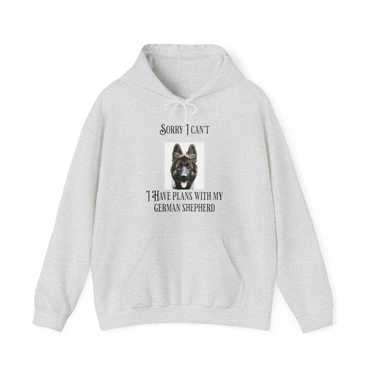 Sorry I Can't Hoodie UK
